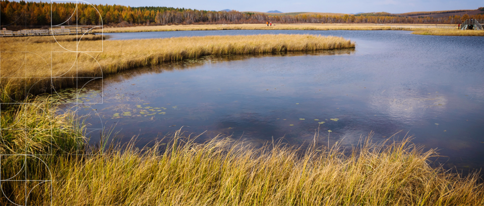 Court and councils swamped with wetland rules