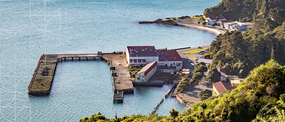 Shelly Bay development comes one step closer